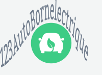 Automobile Borne Electrique